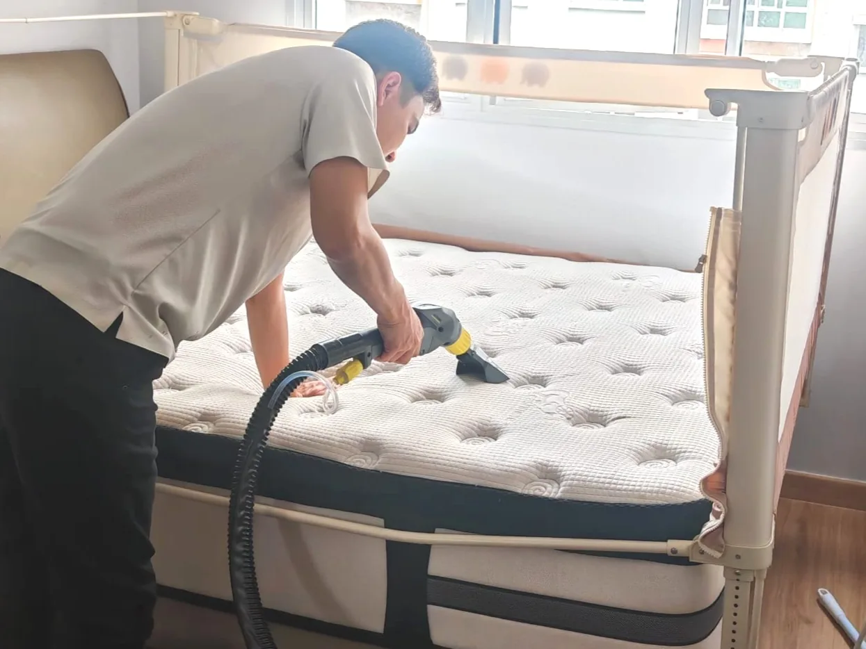 Mattress cleaning on a bed frame beside a window